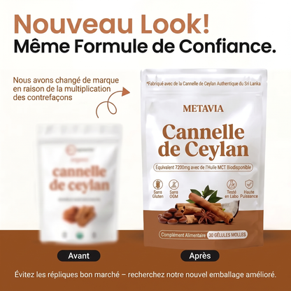 Cannelle de Ceylan — Équivalent 7 200 mg avec huile MCT