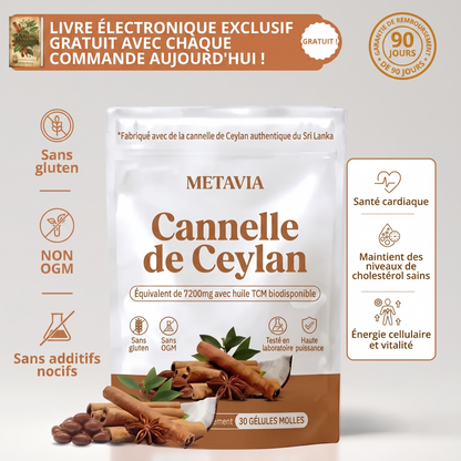 Cannelle de Ceylan — Équivalent 7 200 mg avec huile MCT