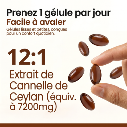 Cannelle de Ceylan — Équivalent 7 200 mg avec huile MCT